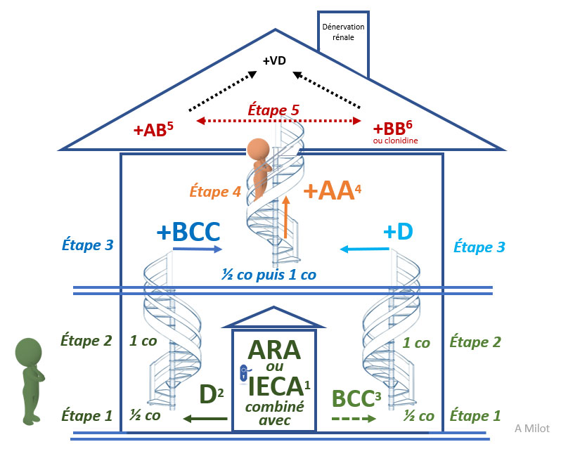 Traitement pharmacologique de première ligne et stratégie d’association des antihypertenseurs